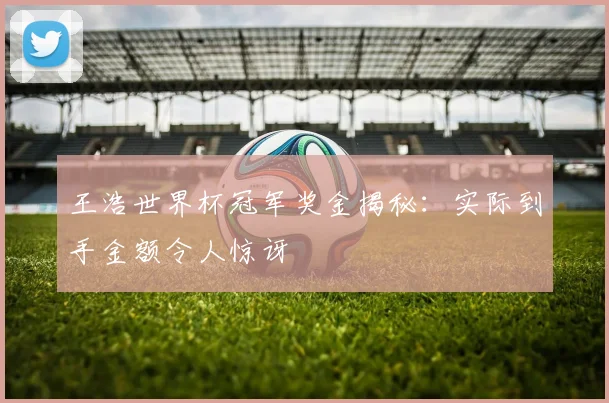 王浩世界杯冠军奖金揭秘:实际到手金额令人惊讶