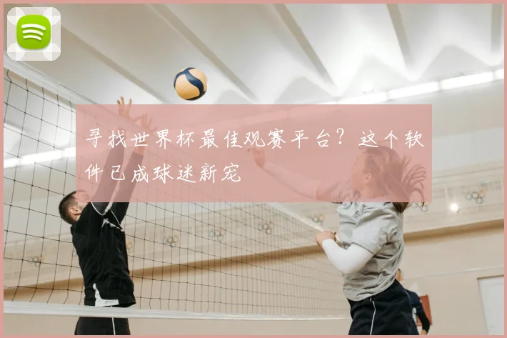 寻找世界杯最佳观赛平台？这个软件已成球迷新宠