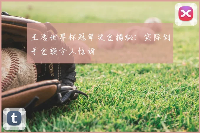 王浩世界杯冠军奖金揭秘：实际到手金额令人惊讶