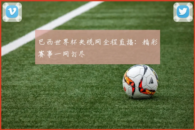 巴西世界杯央视网全程直播：精彩赛事一网打尽