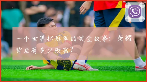 一个世界杯冠军的奖金故事:荣耀背后有多少财富?