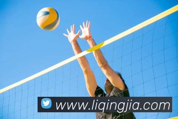 欧亿体育APP 封面图